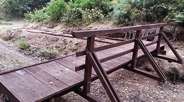 Garden and forest structures